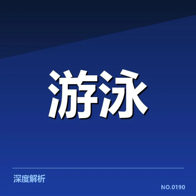 确认的比赛技术细节与实证数据